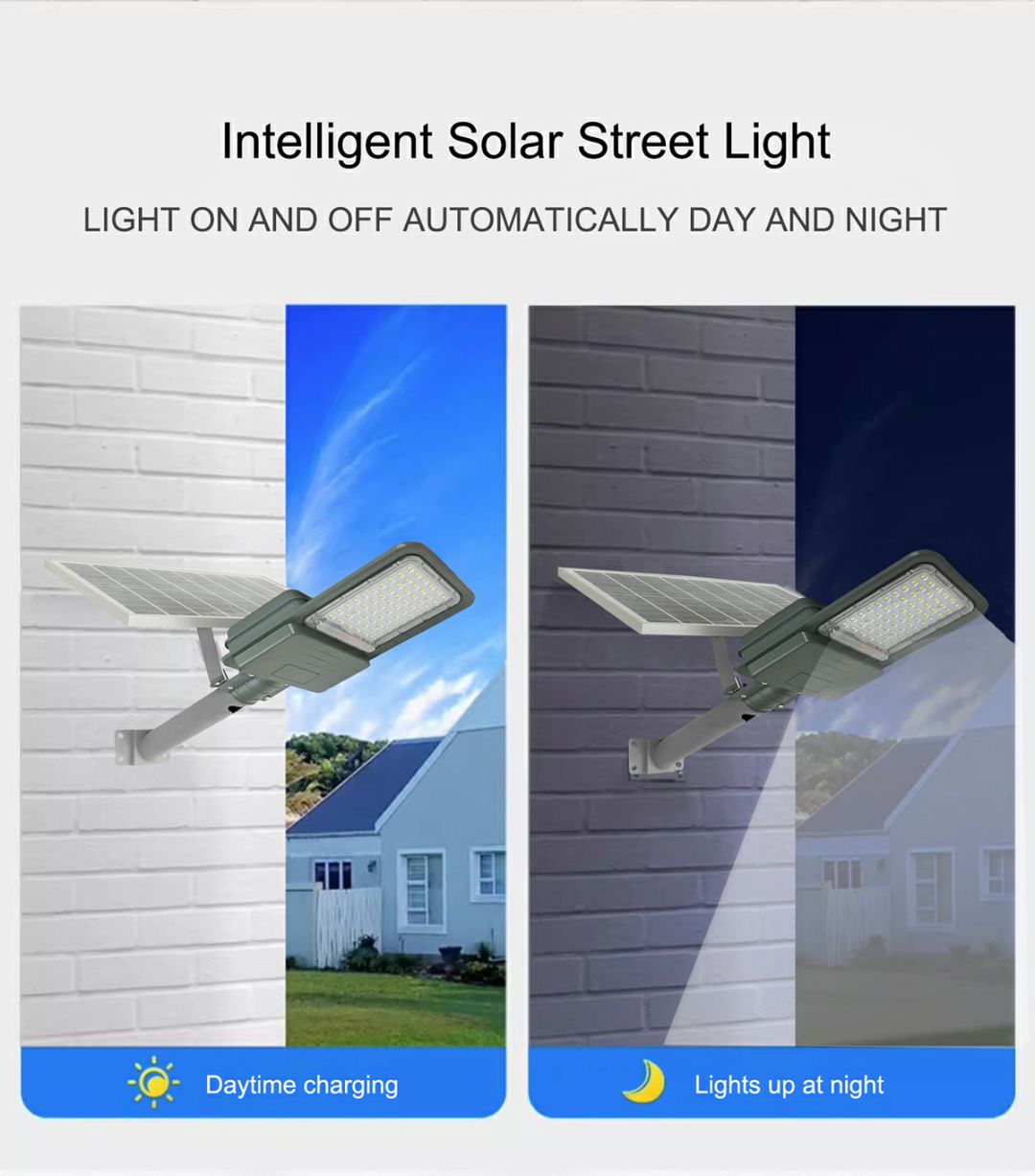 505 Dual body street lamp